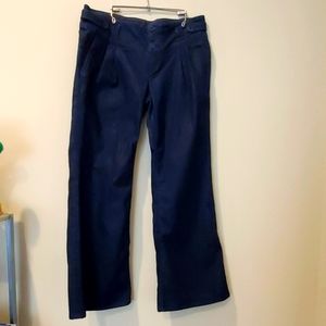 Banana Republic Straight Leg Trouser Jeans Pleated 3 button 10